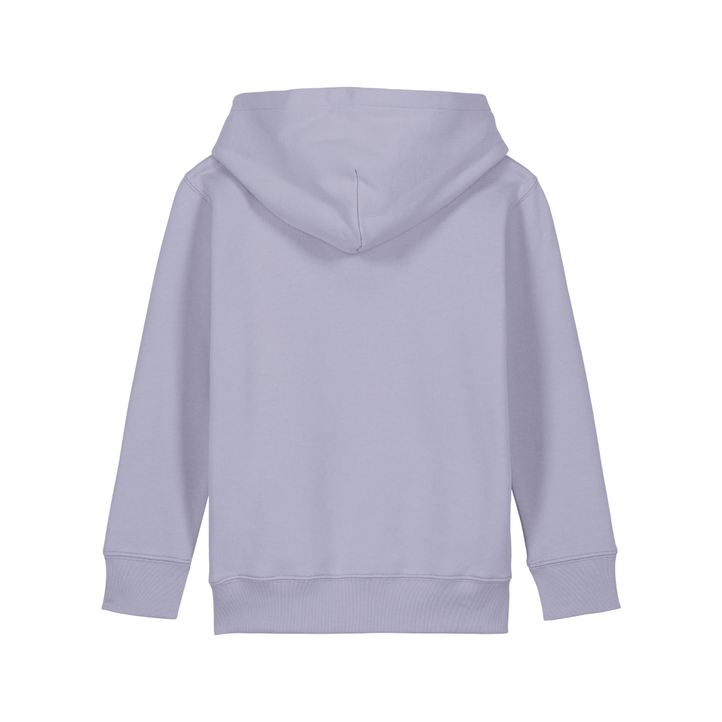 Lost Shore Kids Larry Surfer Hoodie