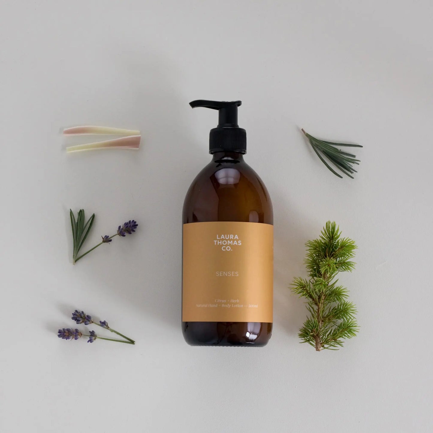 Citrus + Herb Body Lotion