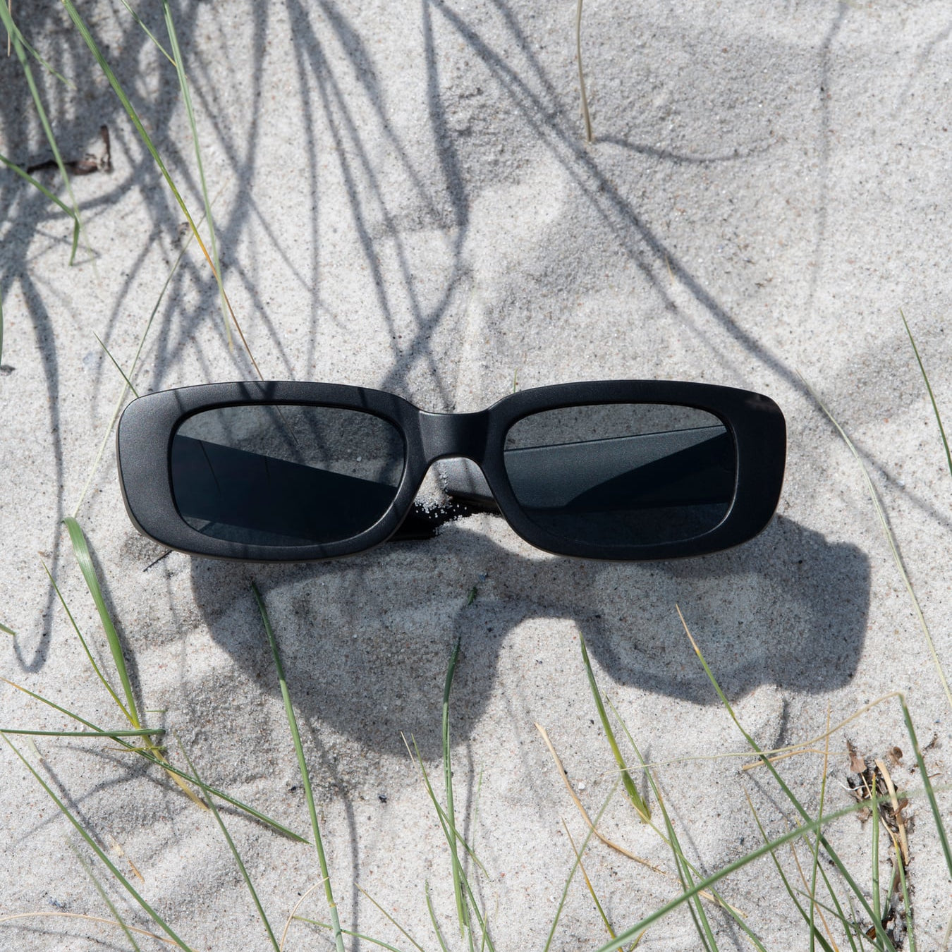CHPO Nicole Sunglasses