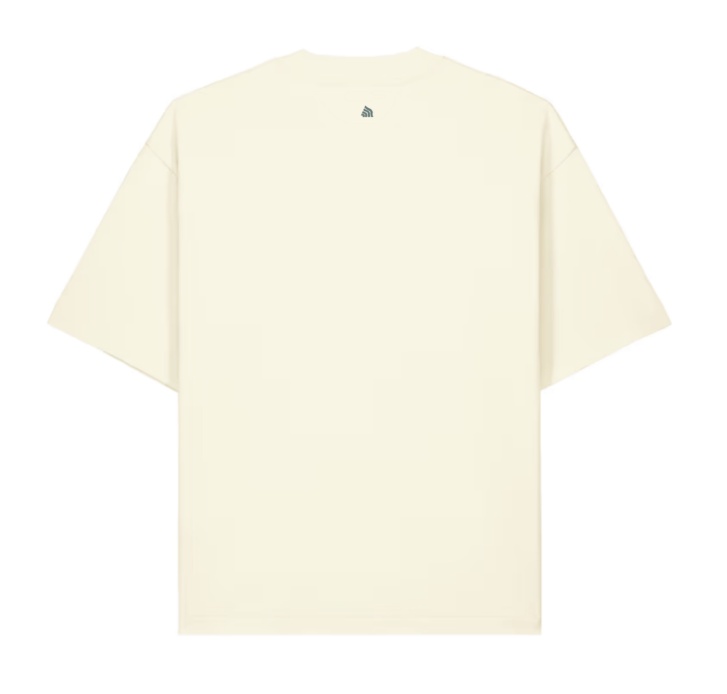 Lost Shore Single Fin Oversized Tee