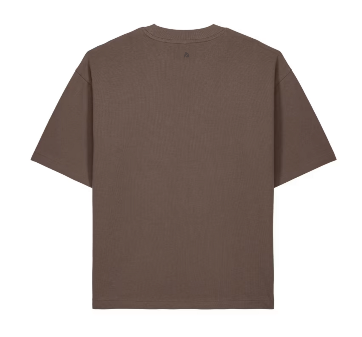 Lost Shore Single Fin Oversized Tee