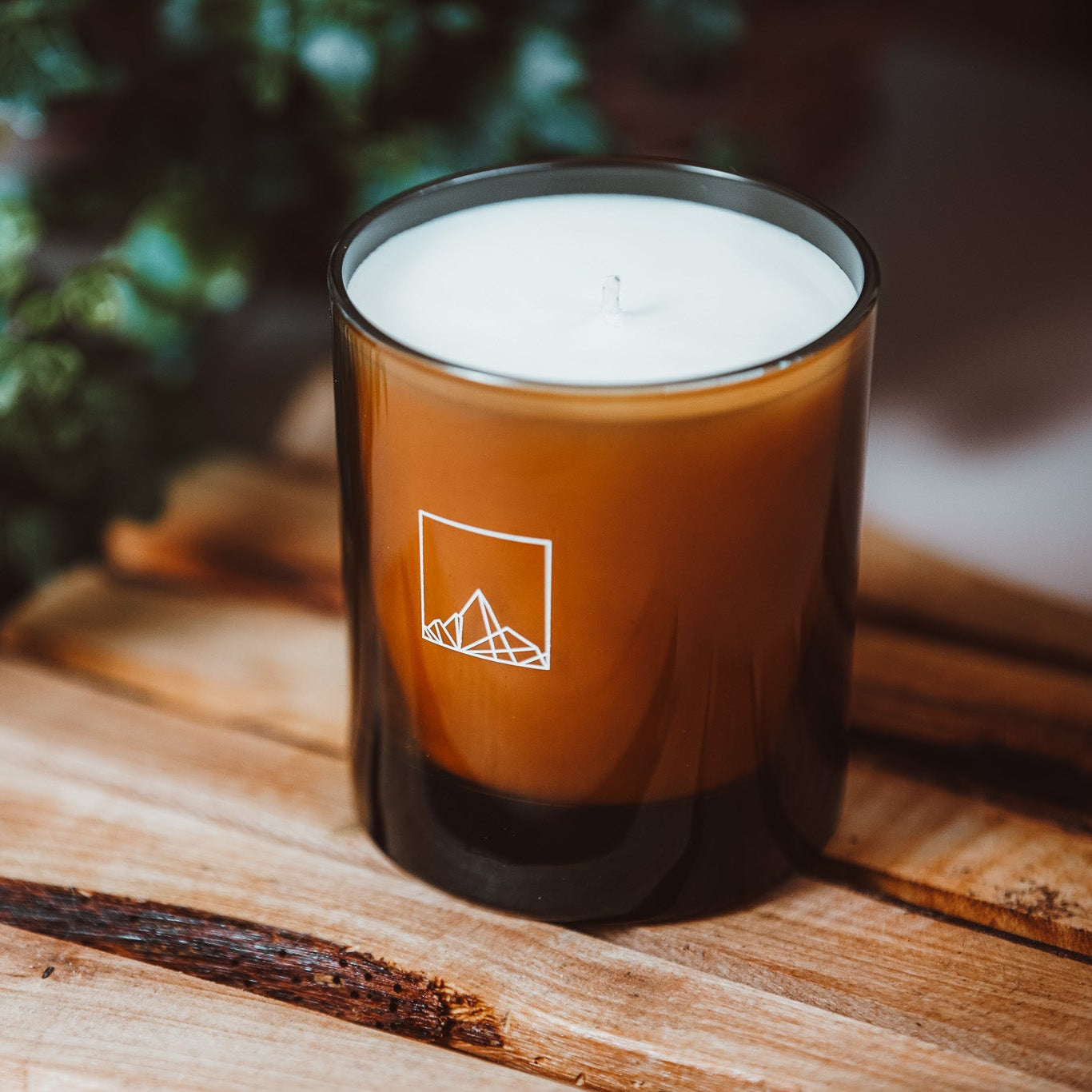 Cairn Candles Wild Lemongrass Amber