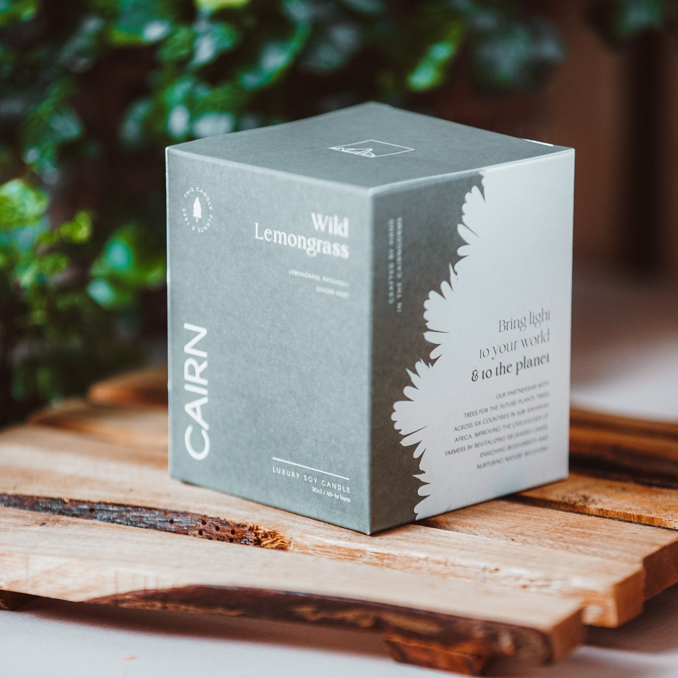 Cairn Candles Wild Lemongrass Amber