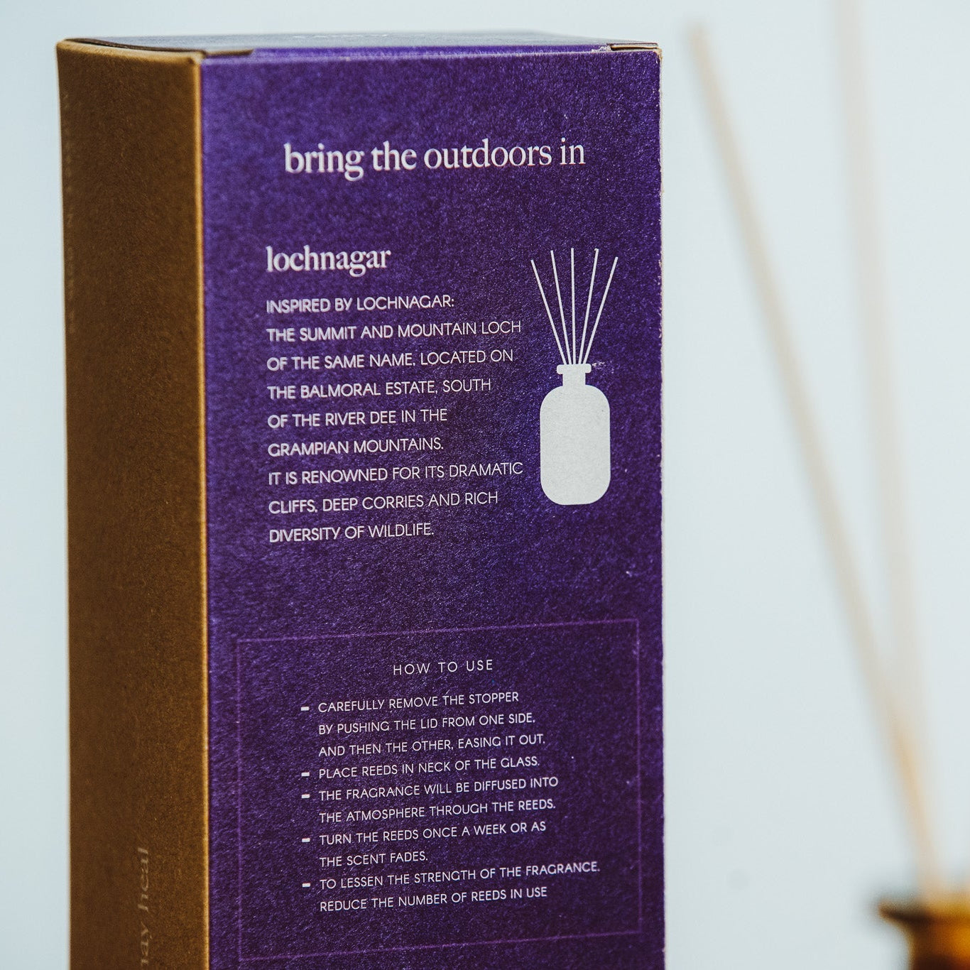 Cairn Candles Lochnagar Diffuser