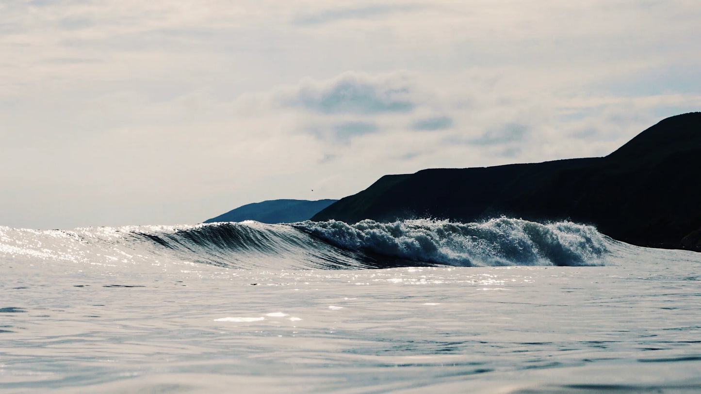Slab Organic Cotton Logo Cap
