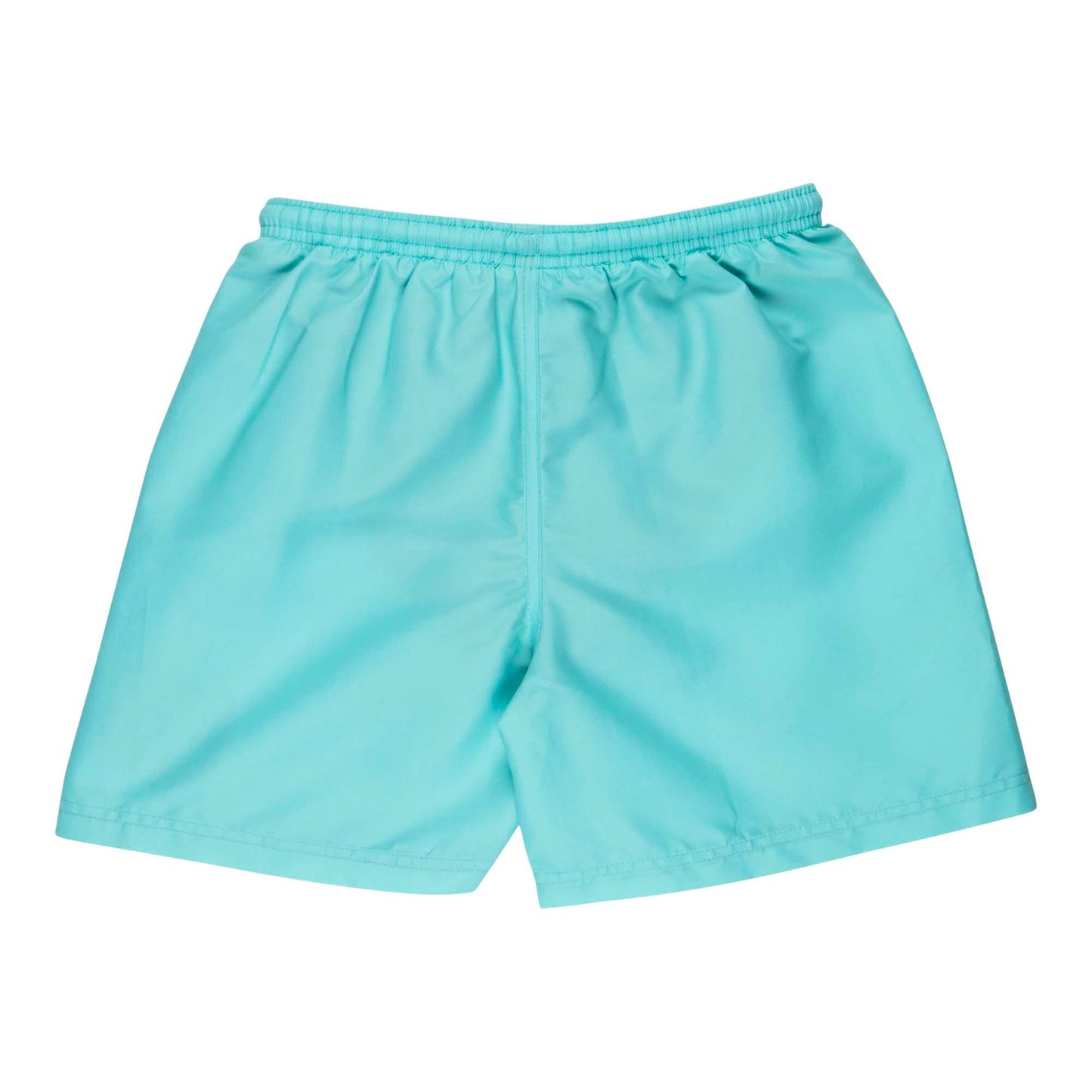 Santa Cruz Classic Dot Youth Swimshort