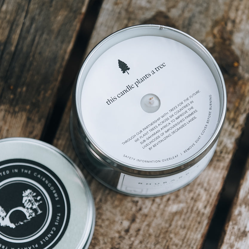 Cairn Candle Caledonia Fruits Tin